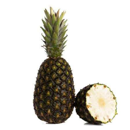 Elefante Green Gold™ Pineapple