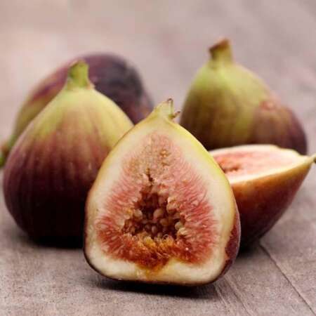Brown Turkey Figs