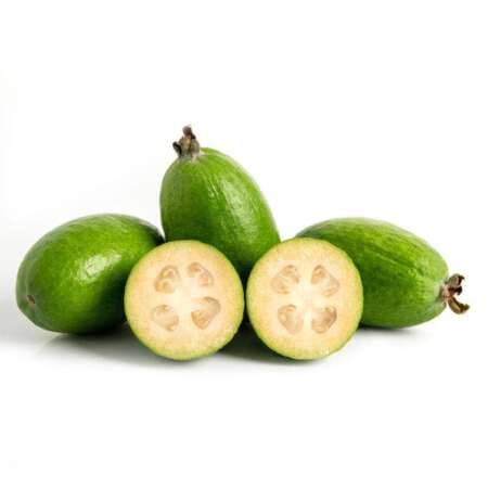 Feijoas