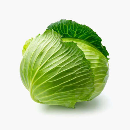 Cabbage Band Gobhi