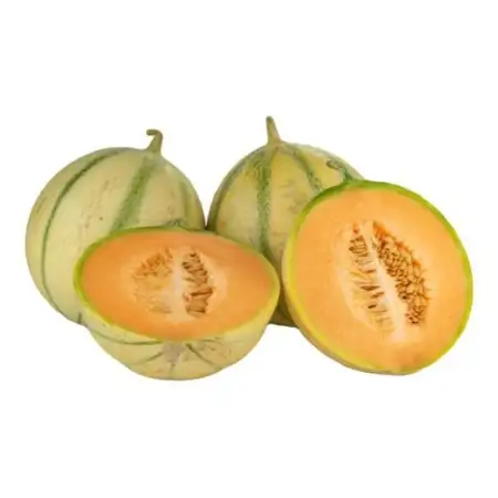 Charentais Melons