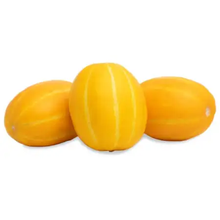 Korean Melons