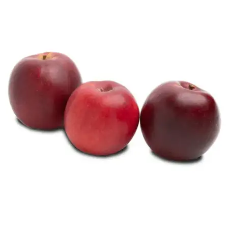 Organic Black Arkansas Apples