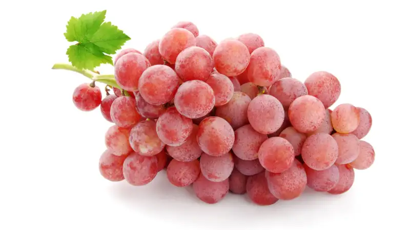 Pink Muscatel Grapes