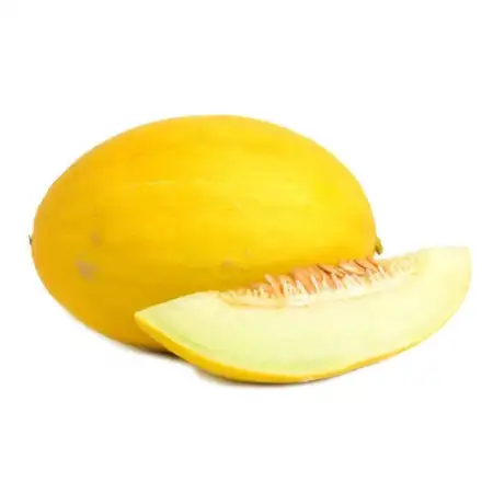 Canary Melons