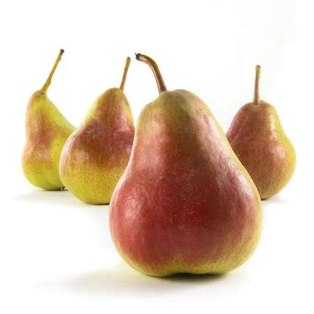 Flamingo Pears