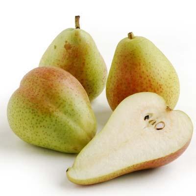 Forelle Pears