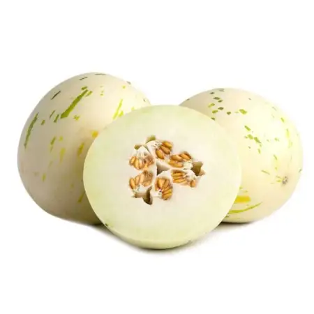 Gaya Melons