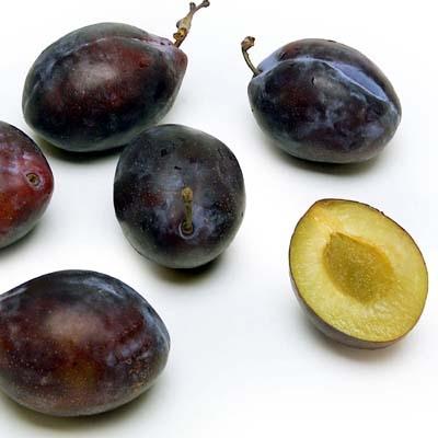 Italian Prune Plums