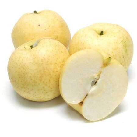 Japanese 20th Century Pears