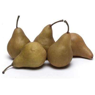 Organic Bosc Pears