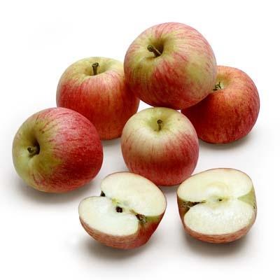 Organic Gala Apples