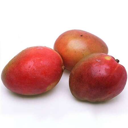 Organic Mangos