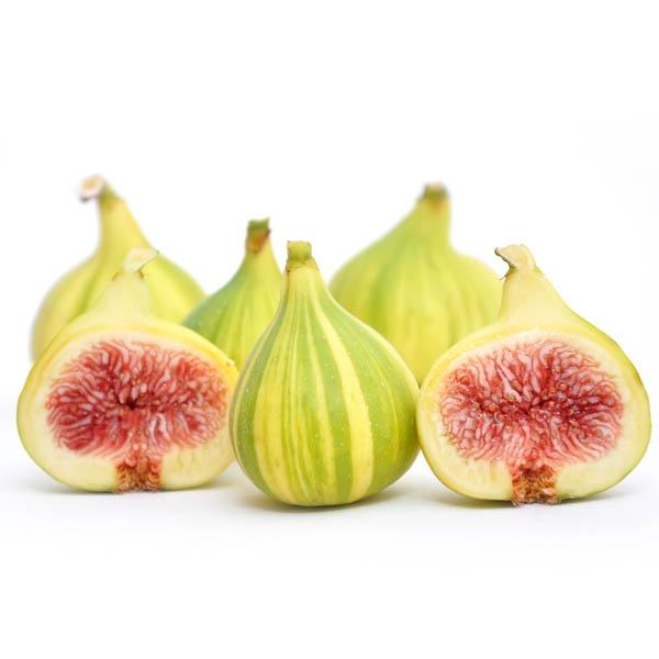 Striped Tiger Figs - Image 3