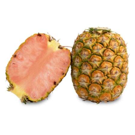 Petit Pinkglow® Pineapple - Ship to California Only