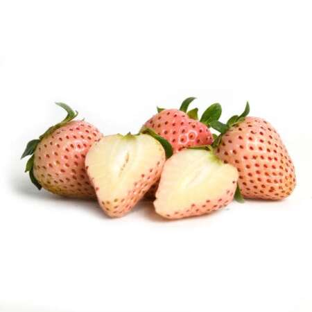 Pineberries (White Strawberries)