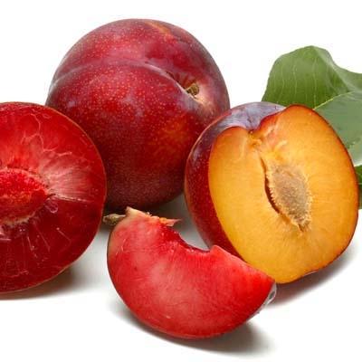 Plumcots