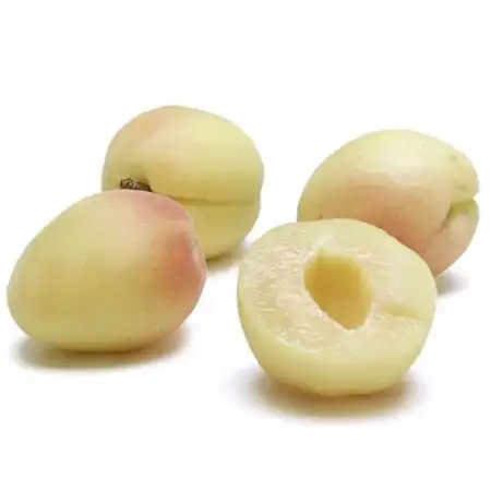 White Apricots